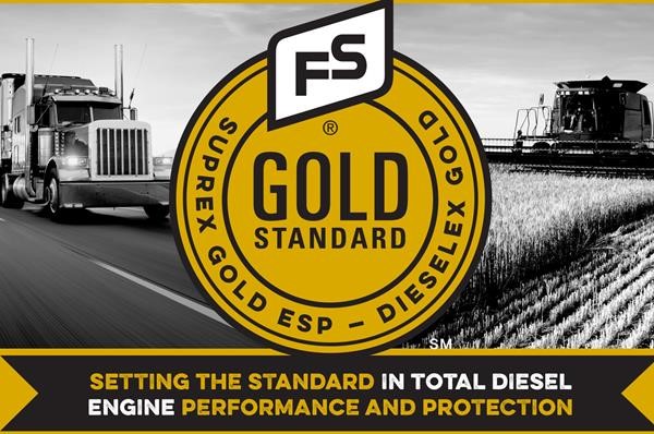 FS GOLD STANDARD